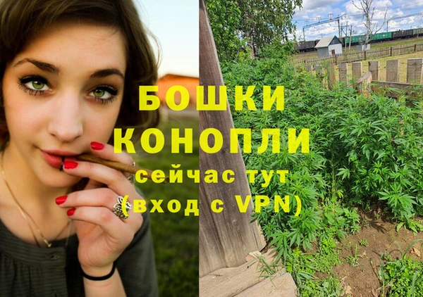 ешки Аркадак